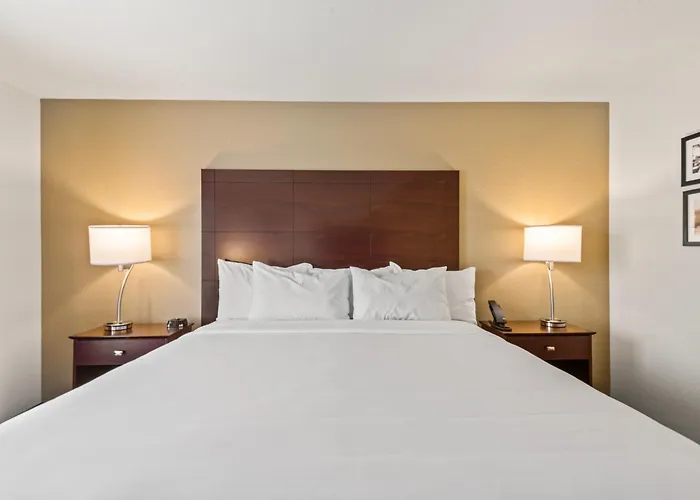 Cobblestone Hotel & Suites - Cullman